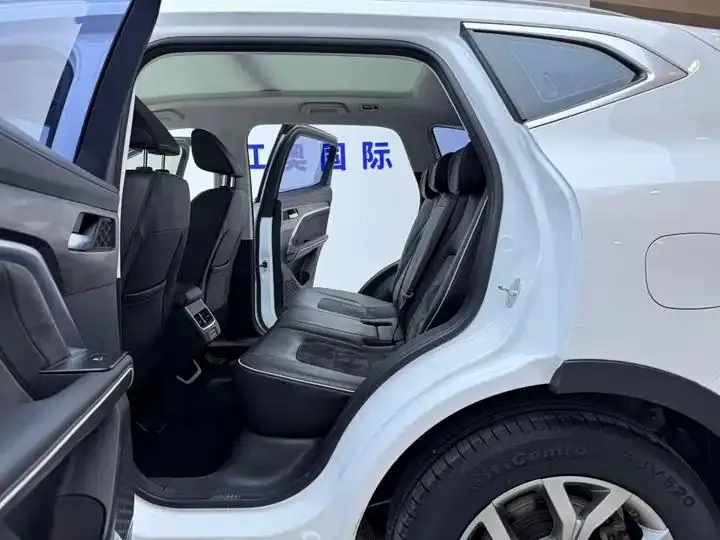 Haval H6 2021 National Tide Edition 1.5T Auto Champion Edition 13