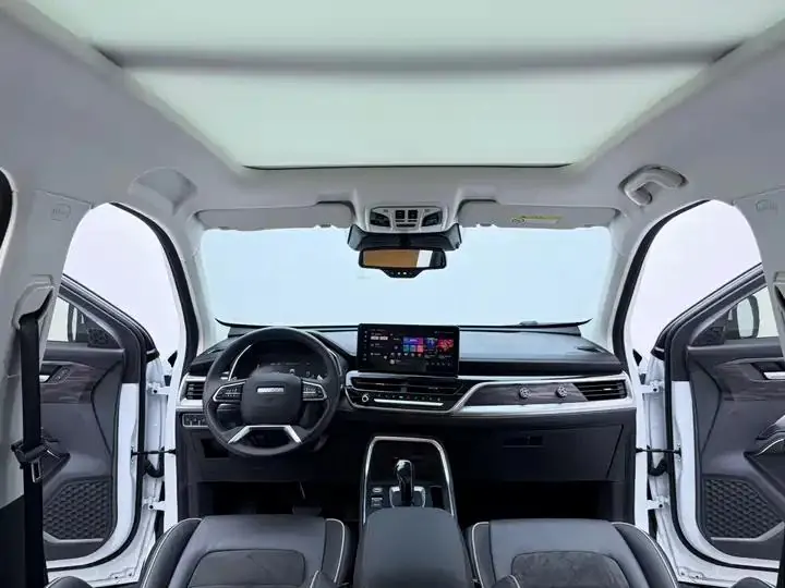 Haval H6 2021 National Tide Edition 1.5T Auto Champion Edition 17