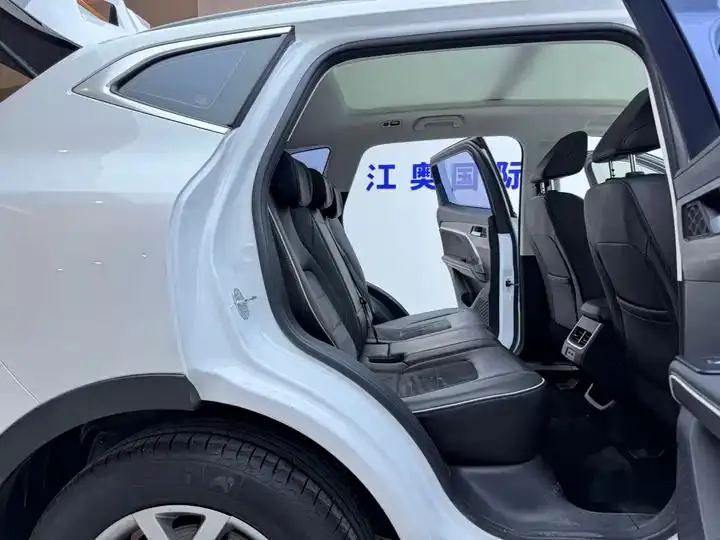 Haval H6 2021 National Tide Edition 1.5T Auto Champion Edition 18
