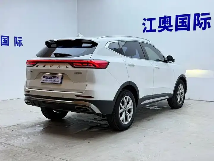 Haval H6 2021 National Tide Edition 1.5T Auto Champion Edition 19