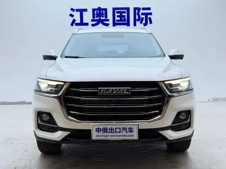 Haval H6 2021 National Tide Edition 1.5T Auto Champion Edition 2
