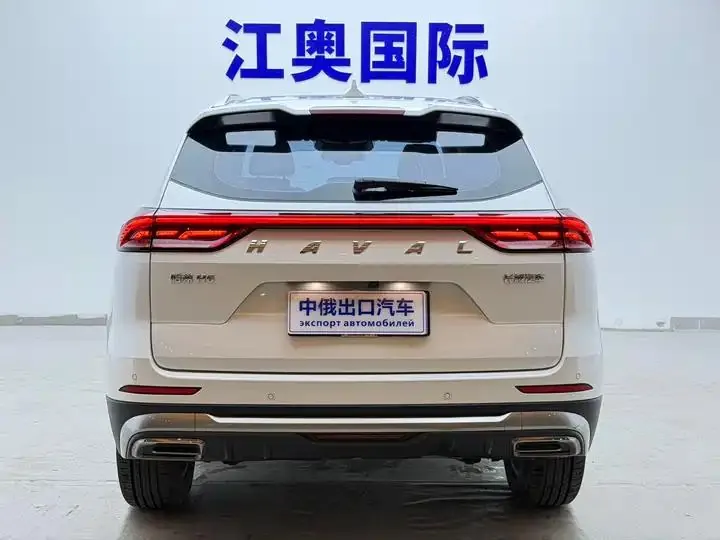 Haval H6 2021 National Tide Edition 1.5T Auto Champion Edition 20