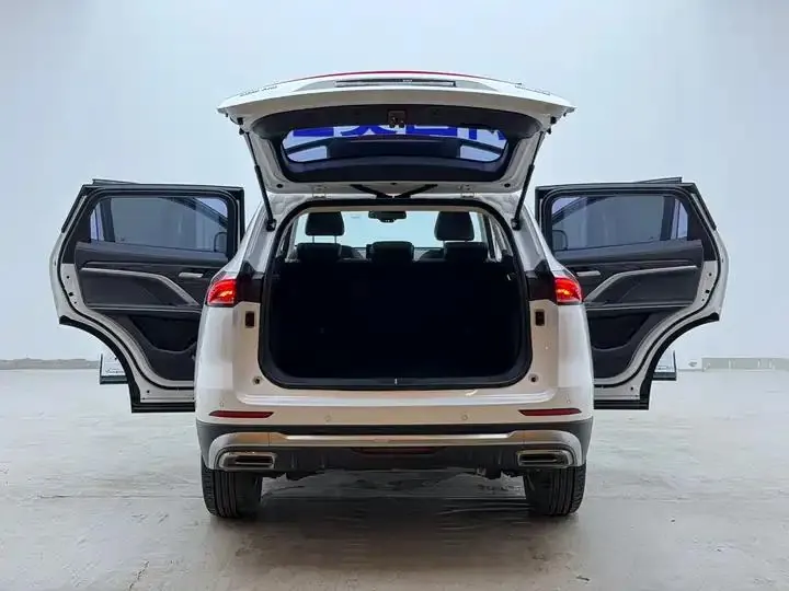 Haval H6 2021 National Tide Edition 1.5T Auto Champion Edition 21