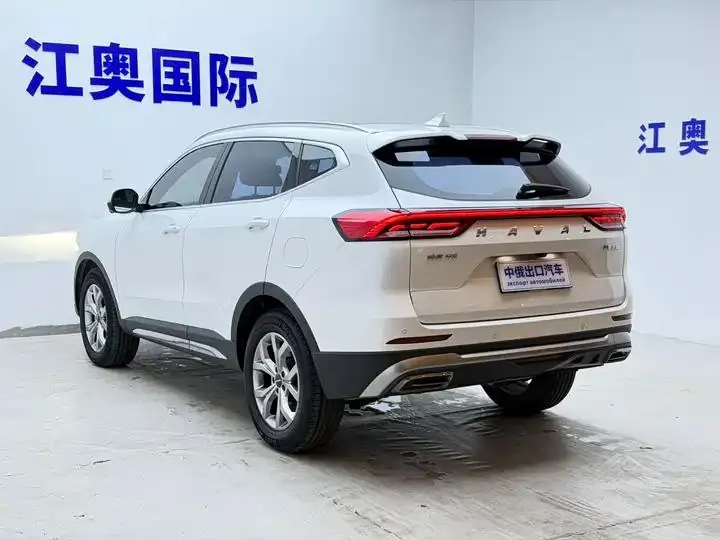 Haval H6 2021 National Tide Edition 1.5T Auto Champion Edition 22