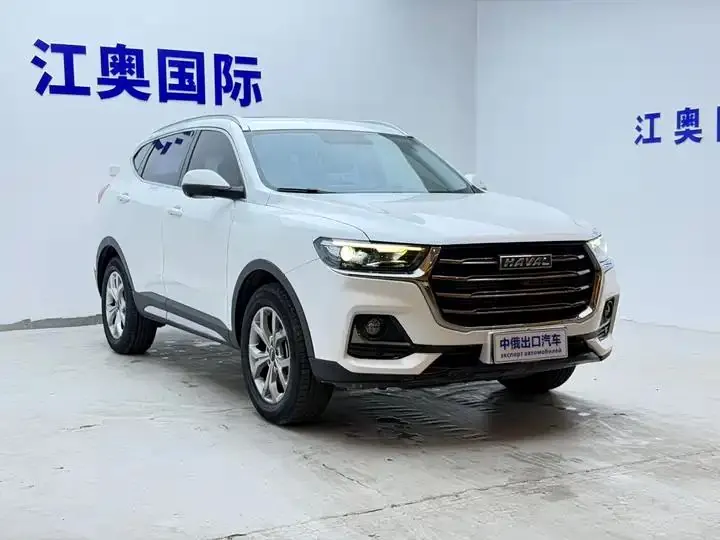 Haval H6 2021 National Tide Edition 1.5T Auto Champion Edition 3