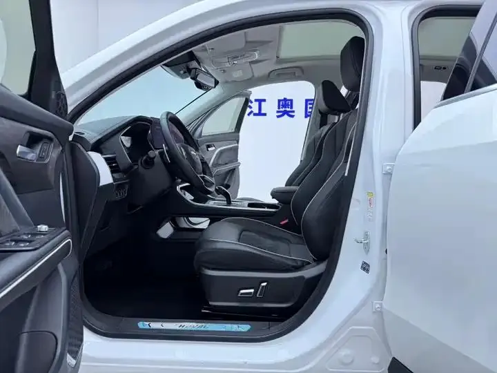 Haval H6 2021 National Tide Edition 1.5T Auto Champion Edition 5