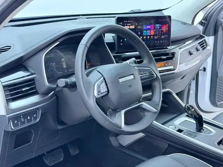Haval H6 2021 National Tide Edition 1.5T Auto Champion Edition 6