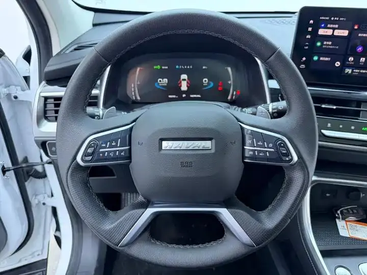 Haval H6 2021 National Tide Edition 1.5T Auto Champion Edition 8
