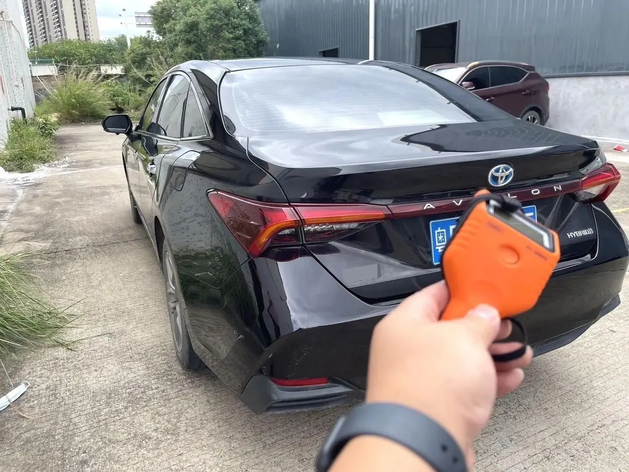 Asian Dragon 2019 Double Qing 2.5L Deluxe Edition National V 5