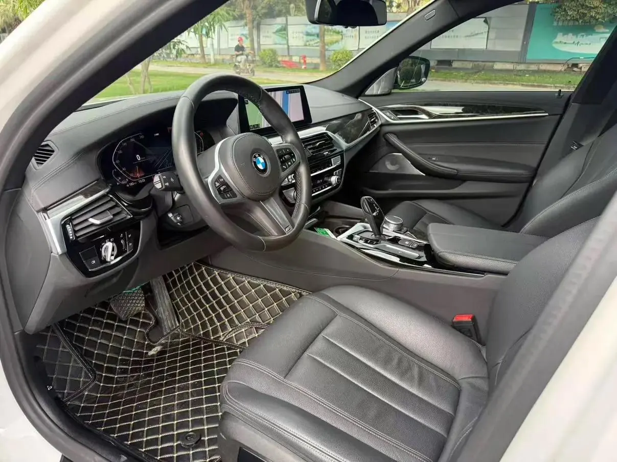 BMW 5 Series 2020 530Li Leading M Sports Suit 10