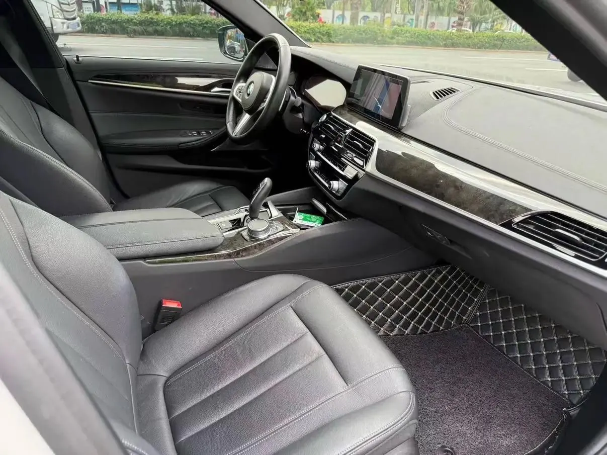BMW 5 Series 2020 530Li Leading M Sports Suit 11