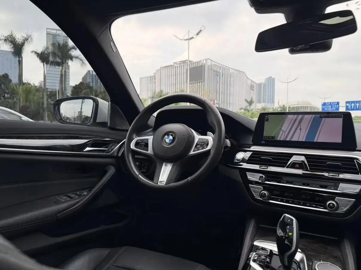 BMW 5 Series 2020 530Li Leading M Sports Suit 12