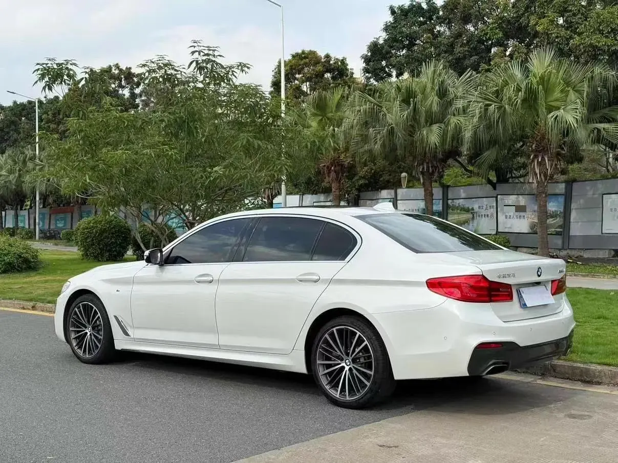 BMW 5 Series 2020 530Li Leading M Sports Suit 2