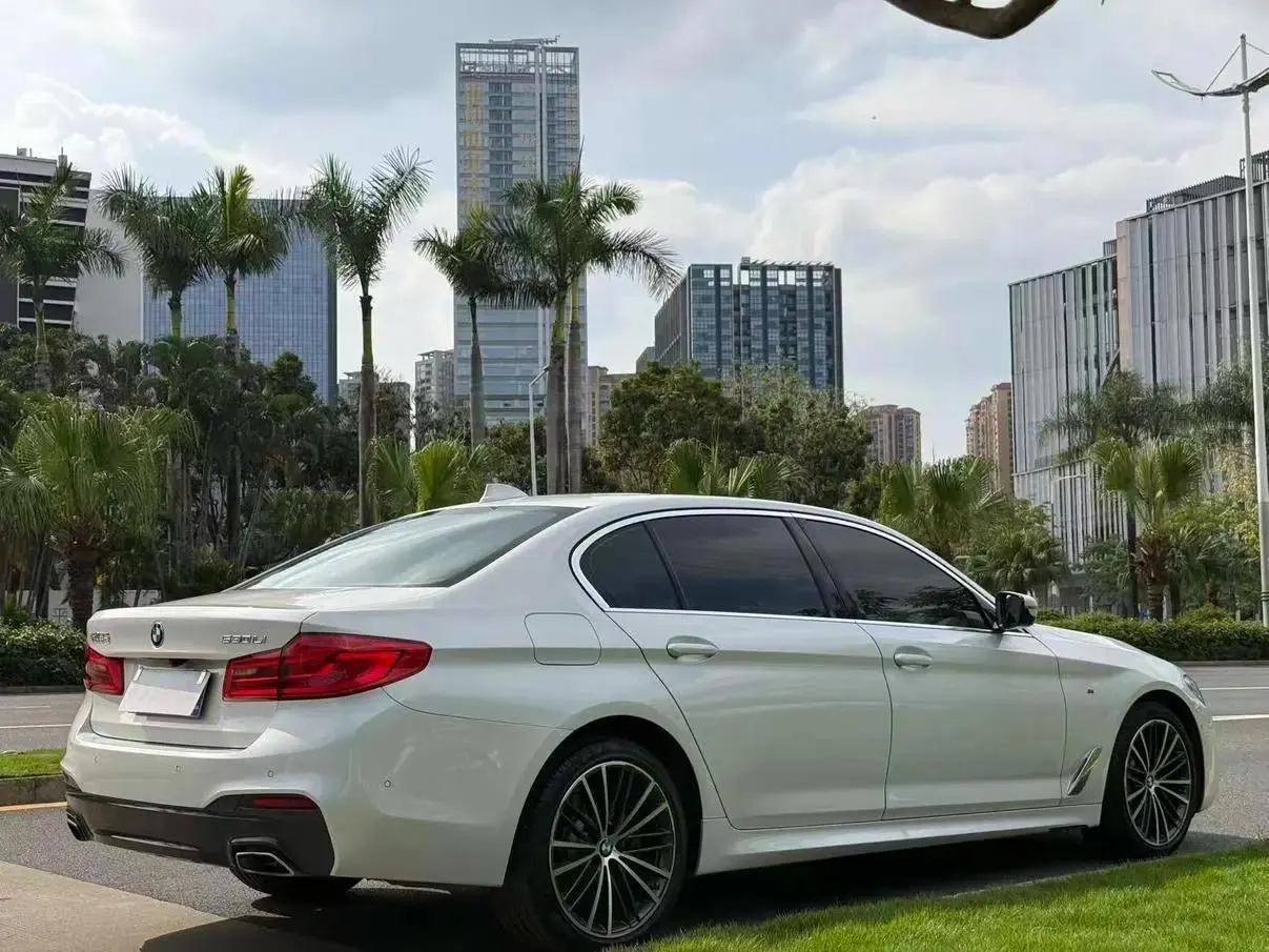 BMW 5 Series 2020 530Li Leading M Sports Suit 3