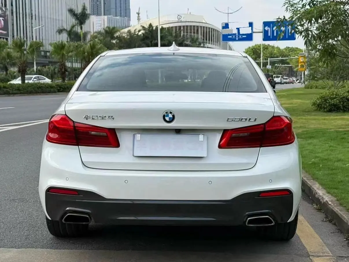 BMW 5 Series 2020 530Li Leading M Sports Suit 4