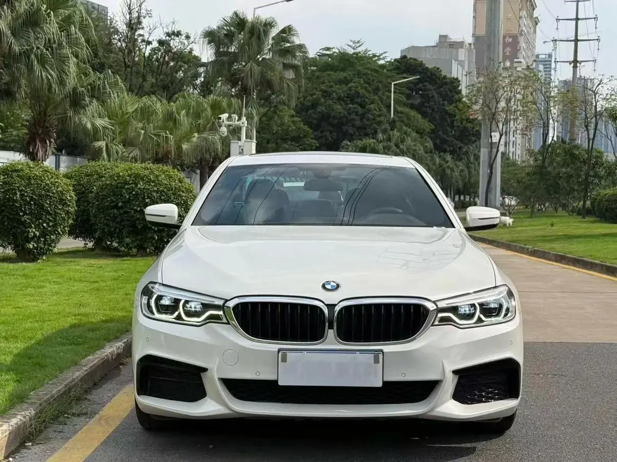 BMW 5 Series 2020 530Li Leading M Sports Suit 5