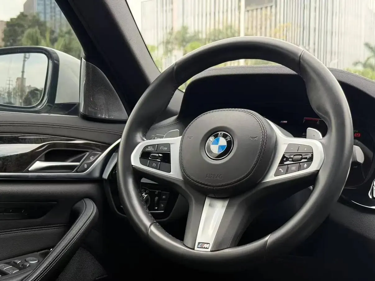 BMW 5 Series 2020 530Li Leading M Sports Suit 7