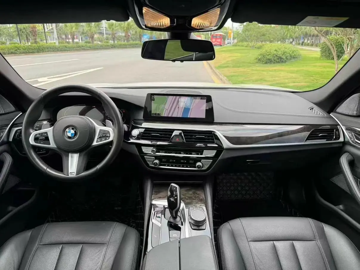 BMW 5 Series 2020 530Li Leading M Sports Suit 8