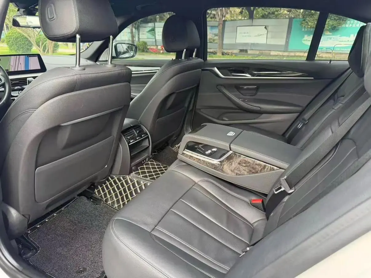 BMW 5 Series 2020 530Li Leading M Sports Suit 9