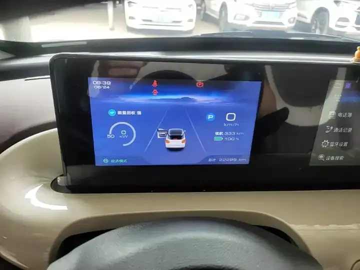 WuLing Plantronics 2024 333km Pleasant 12