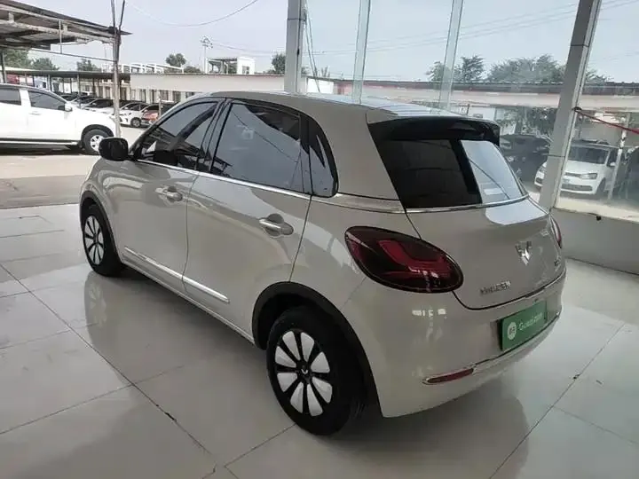 WuLing Plantronics 2024 333km Pleasant 5