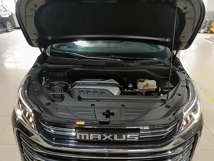 MAXUS MAXUS G50 2021 PLUS 1.5T Auto Airworthiness Edition 20