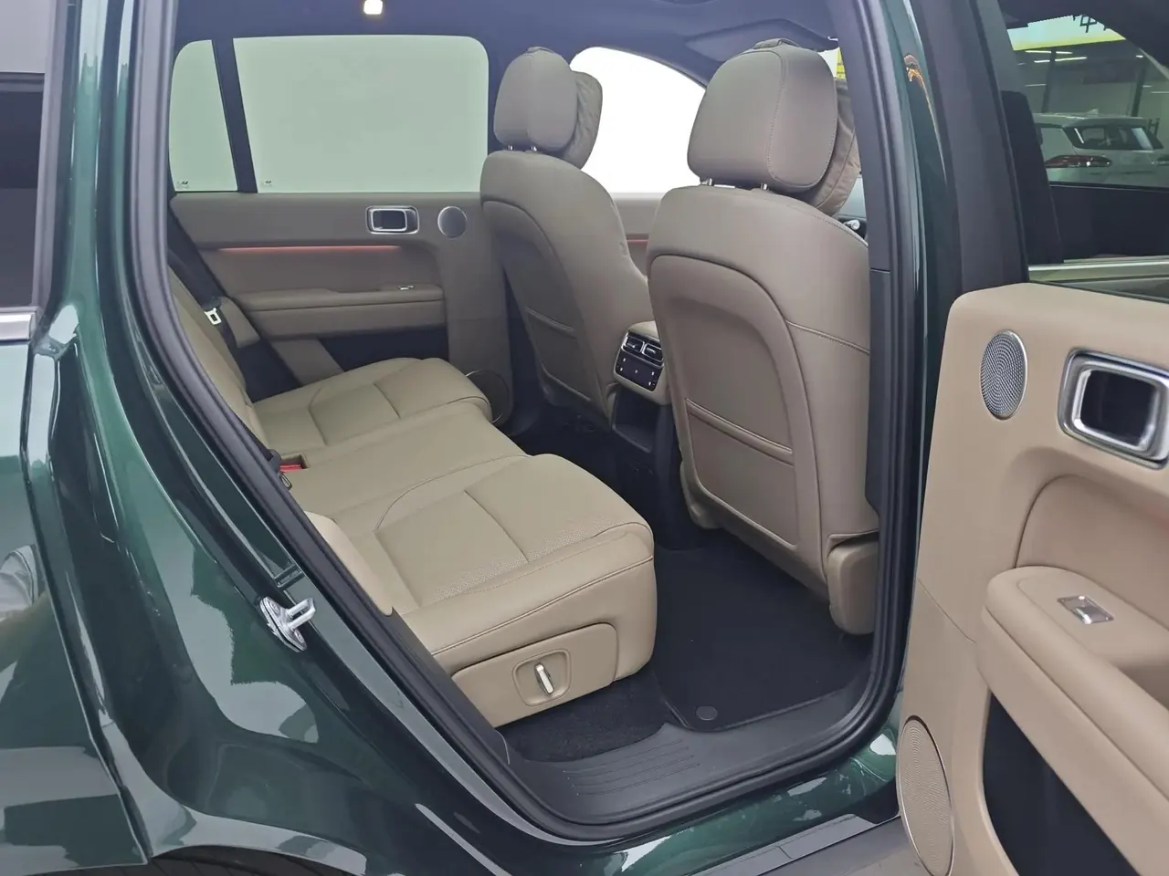 Li 2025 L6 Pro Intelligent Refreshed Version Automatic Transmission 5
