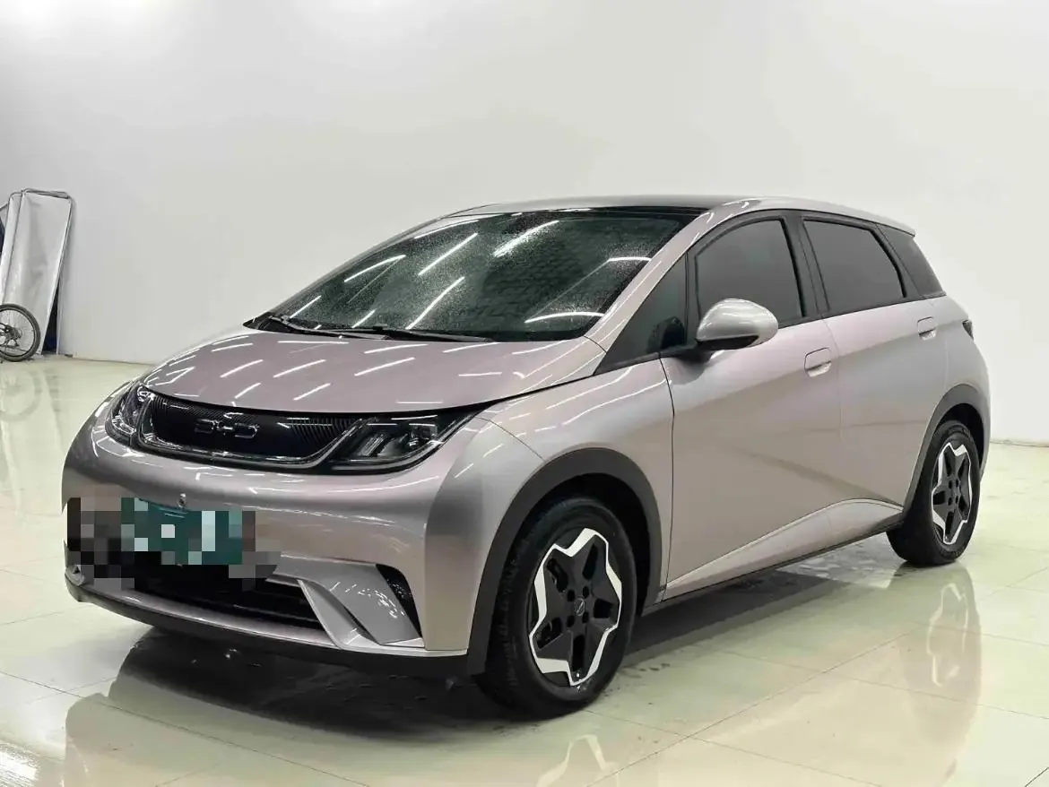 Dolphin 2021, 405 km, Fashion Edition - View 1