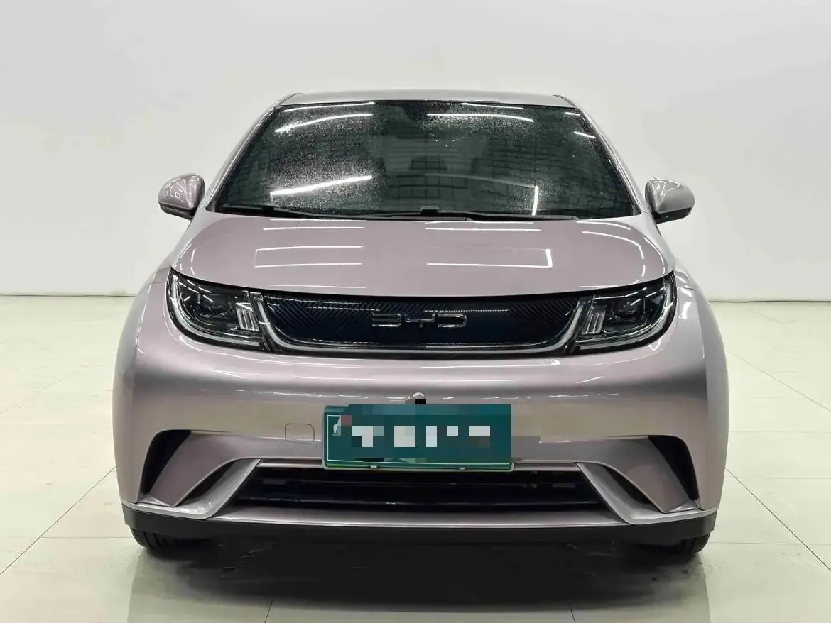 Dolphin 2021, 405 km, Fashion Edition 2