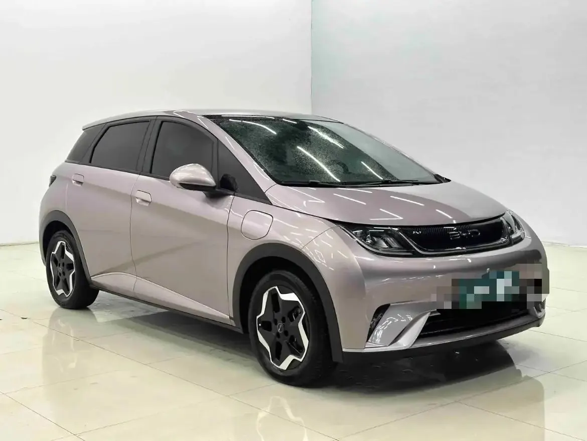 Dolphin 2021, 405 km, Fashion Edition 3