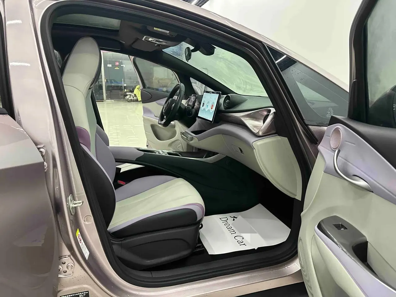 Dolphin 2021, 405 km, Fashion Edition 6