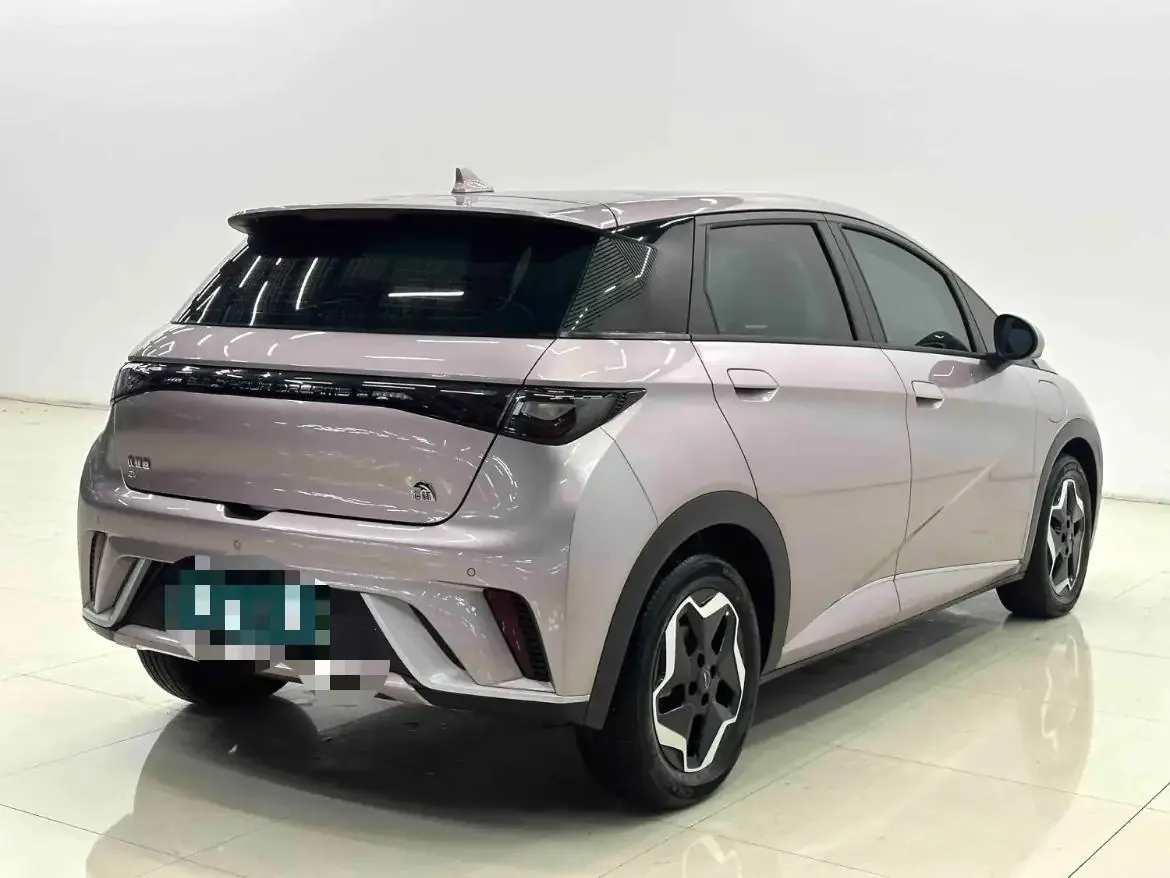 Dolphin 2021, 405 km, Fashion Edition 8