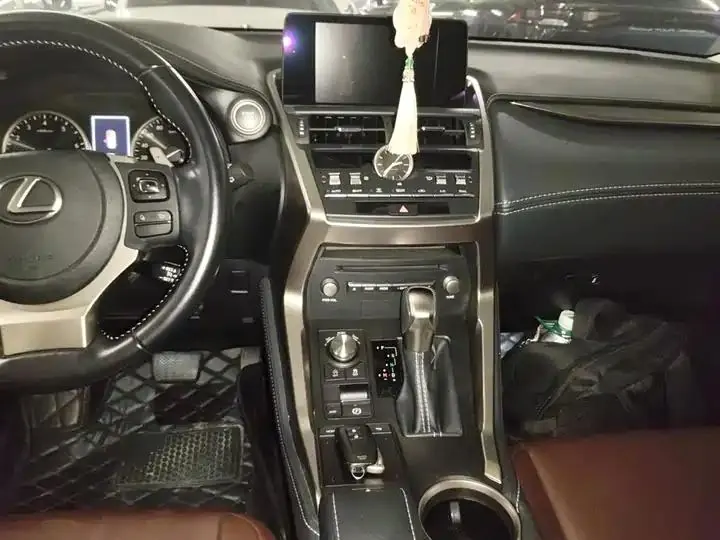 Lexus NX 2020 200 Pioneer Edition Country VI 10