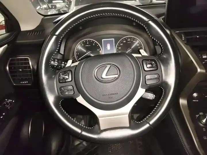 Lexus NX 2020 200 Pioneer Edition Country VI 11