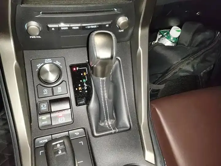 Lexus NX 2020 200 Pioneer Edition Country VI 15