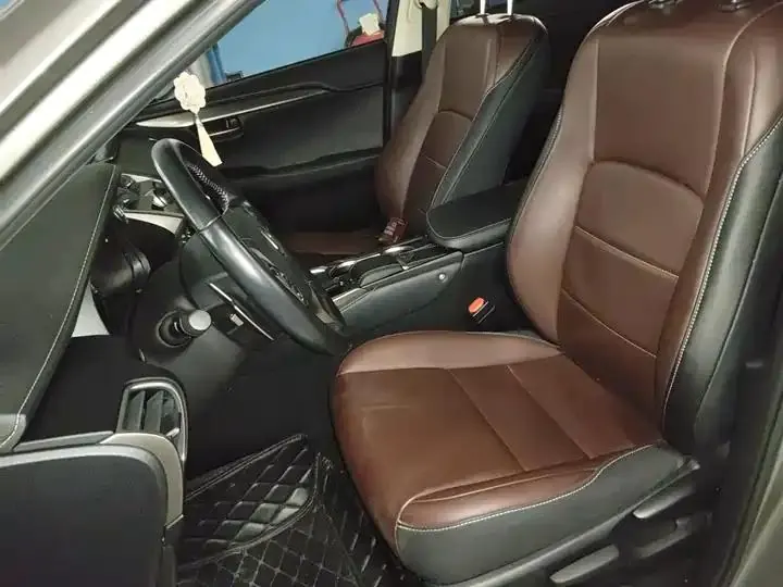 Lexus NX 2020 200 Pioneer Edition Country VI 16