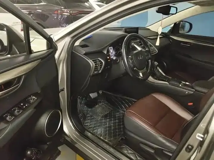 Lexus NX 2020 200 Pioneer Edition Country VI 17