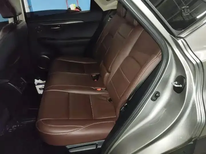 Lexus NX 2020 200 Pioneer Edition Country VI 18