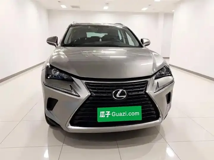 Lexus NX 2020 200 Pioneer Edition Country VI 2