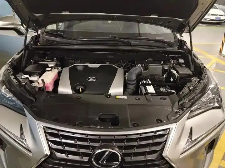Lexus NX 2020 200 Pioneer Edition Country VI 21
