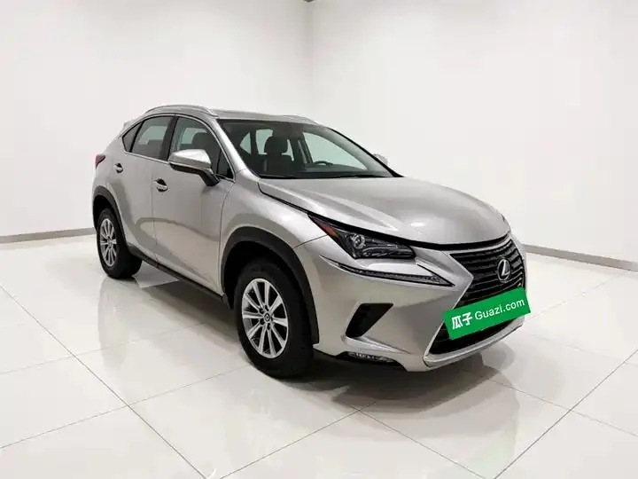 Lexus NX 2020 200 Pioneer Edition Country VI 3