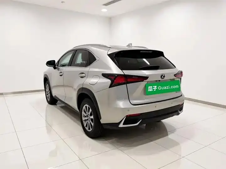 Lexus NX 2020 200 Pioneer Edition Country VI 4