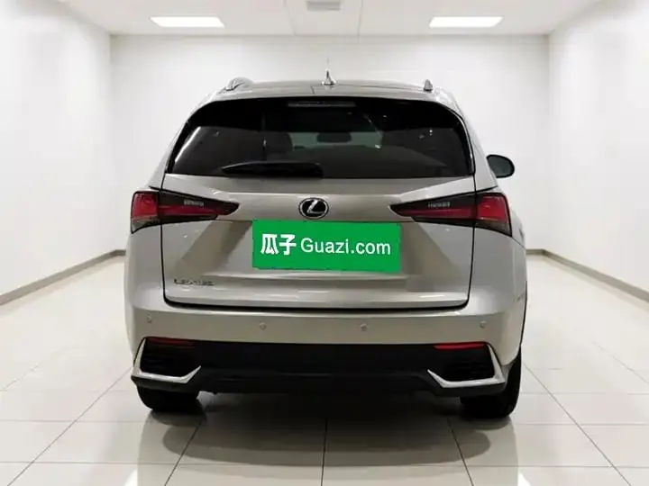 Lexus NX 2020 200 Pioneer Edition Country VI 5