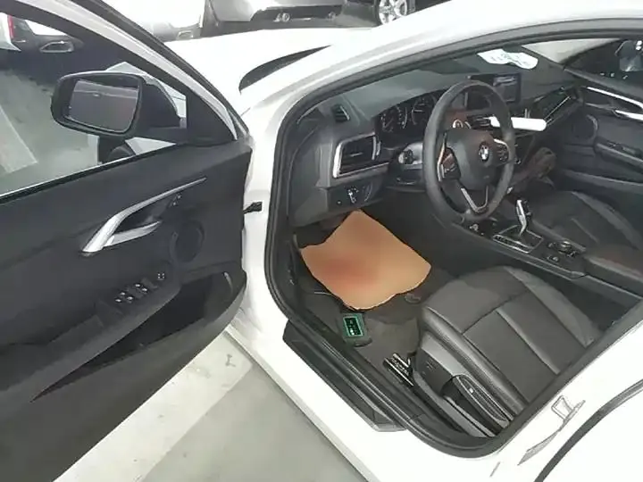 BMW 1 Series 2020 120i Luxury Model 16