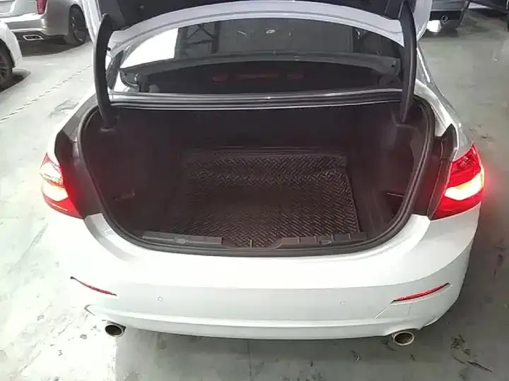 BMW 1 Series 2020 120i Luxury Model 19