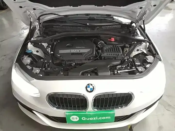 BMW 1 Series 2020 120i Luxury Model 20
