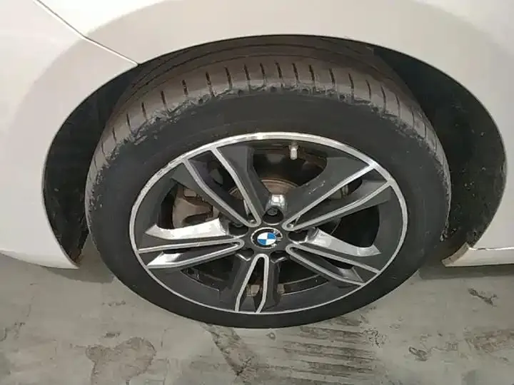 BMW 1 Series 2020 120i Luxury Model 23