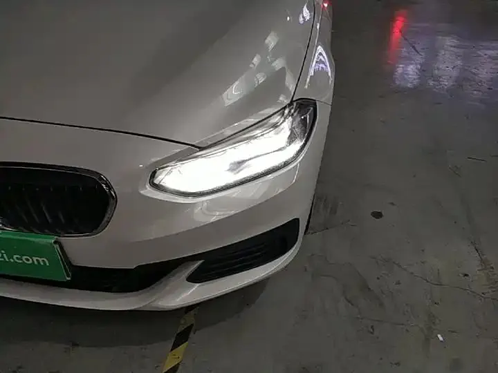 BMW 1 Series 2020 120i Luxury Model 24