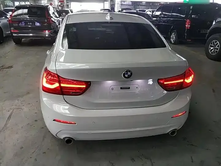 BMW 1 Series 2020 120i Luxury Model 6