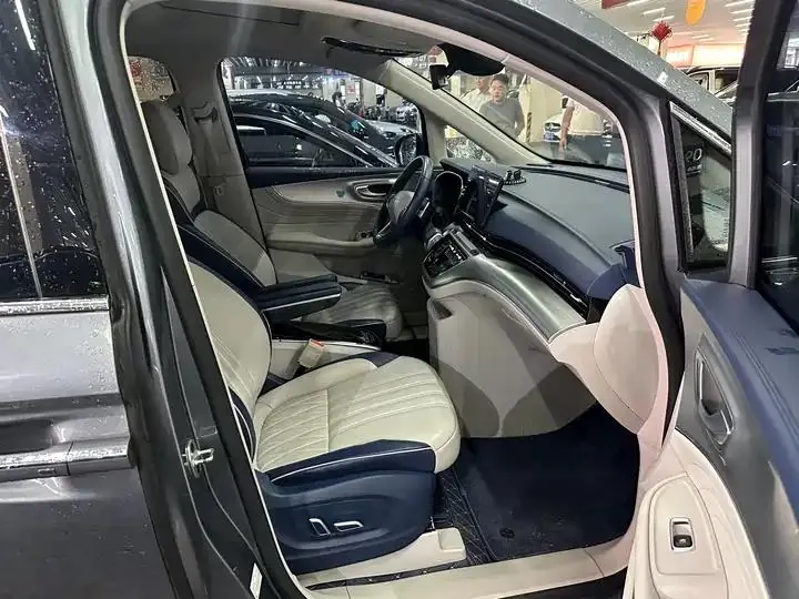 Roewe iMAX8 2021 400TGI Supreme Series Honorable Edition 13